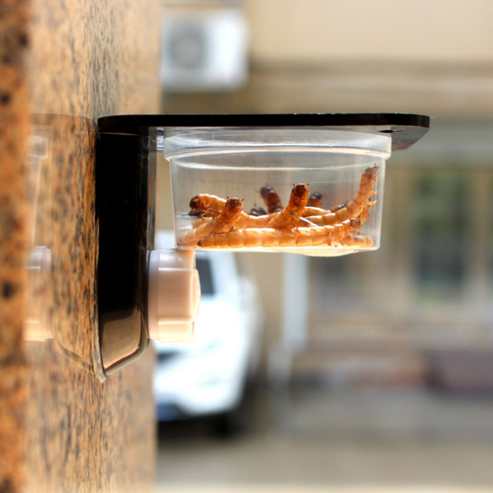 爬虫類の餌箱,ボウルとウォーターディッシュ,創造的なヤモリの - Water Dish Reptile のレビューと価格